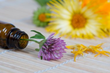 şişe, yonca ve calendula bambu plaka üzerinde