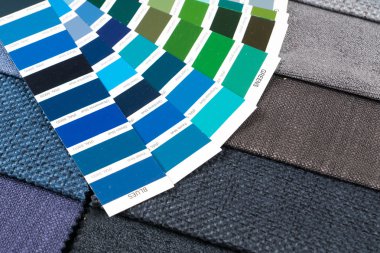 kumaş örnekleri pantone 2 ile