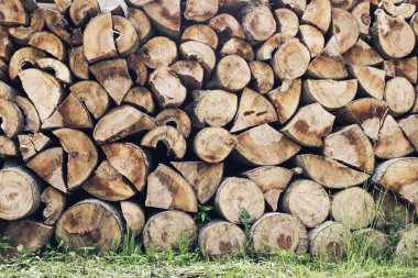 tahta kayıt arkaplanı