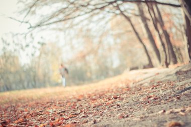 Sonbahar manzara arka plan bulanık