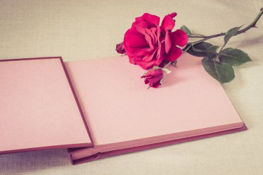 Boş sayfa kitap ve kırmızı gül