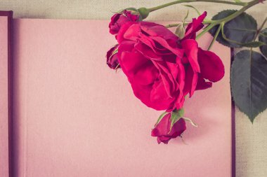 Boş sayfa kitap ve kırmızı gül