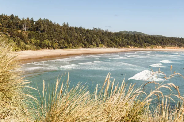 前景に砂浜と乾燥した草のあるオレゴン海岸の風景 太平洋海岸線 — ストック写真