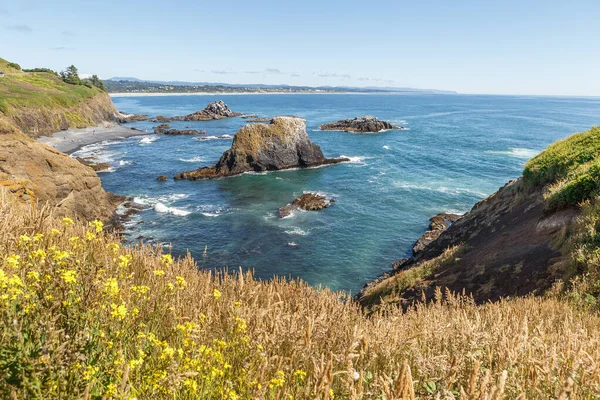 クリフと太平洋とオレゴン海岸の風景 Yaquina Bay Coastline Usa — ストック写真