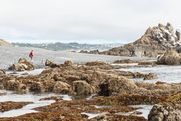 Cobble Beach Sotto Faro Yaquina Head Newport Oregon Una Piccola — Foto Stock