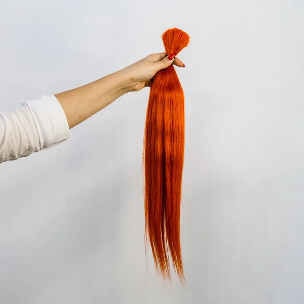 Famale Kéz Kezében Egy Köteg Piros Természetes Remy Emberi Haj — Stock Fotó