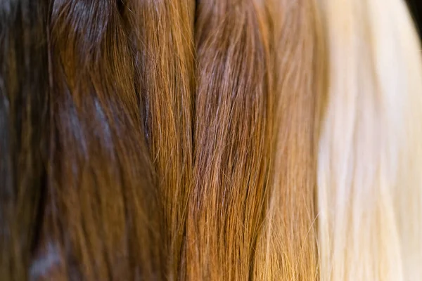 Campioni Estensioni Naturali Dei Capelli Umani Remy — Foto Stock