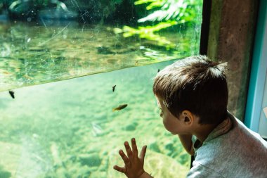 Portland, Oregon yakınlarındaki Wildwood dinlenme alanındaki yeraltı dere izleme istasyonunda küçük bir çocuk.