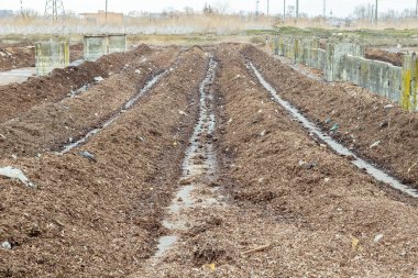 Endüstriyel gübre fabrikasında sıra sıra yeşil atık. Organik atıklar gübre toprağına dönüşüyor.