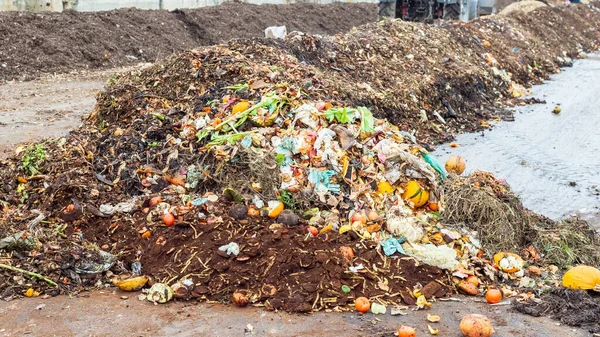 Collection point for organic waste at industrial compost plant