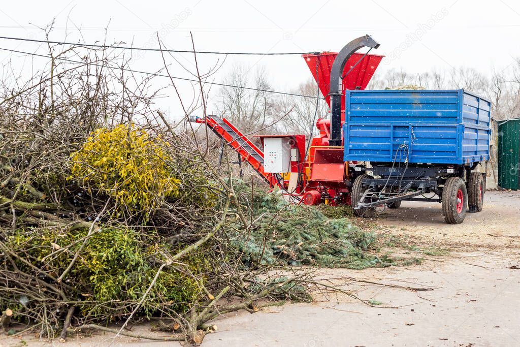 Heap of coniferous and deciduous trees and a wood shredder at industrial compost center. Christmas trees recycling