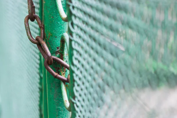 Close up chain locked on green color fence gate — Stock Photo, Image