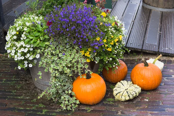 Fall yard decoration with pumpkins and flowers — Stock Photo, Image