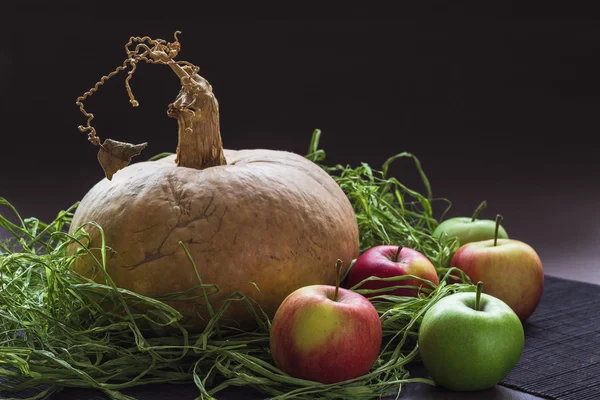 Pumpkin and Apples Still Life — Stock Photo, Image