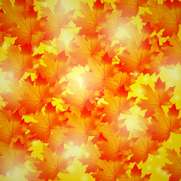 Hojas de arce background.golden otoño — Foto de Stock