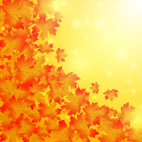 Höstens background.golden lönn leaves.space för text — Stock vektor