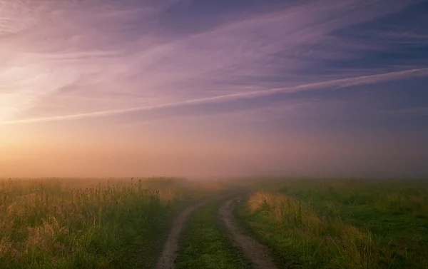 Neblige Morgenwiese. Sommerlandschaft mit grünem Gras, Straßen und Wolken — Stockfoto