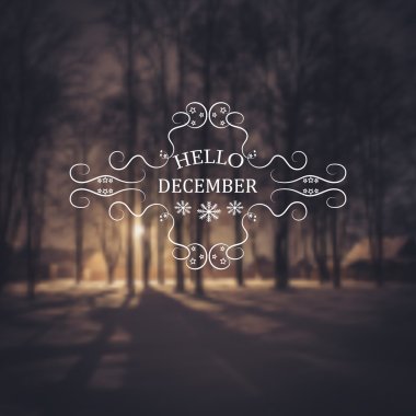 Hello December. Winter background. Greeting Card. Typographic design