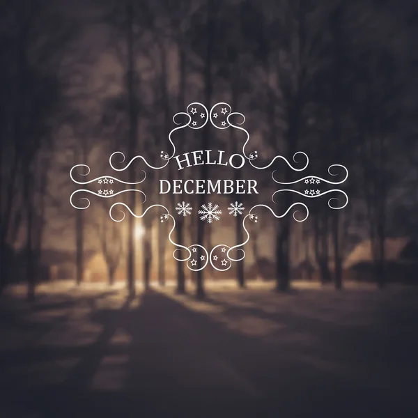 Hola diciembre. Fondo de invierno. Tarjeta de felicitación. Diseño tipográfico — Vector de stock