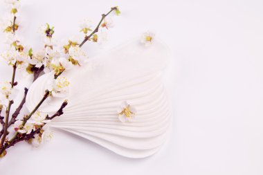 Hijyenik pedler ve kayısı çiçeği