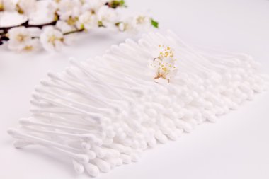 Pamuk kulak sopa ile kayısı çiçeği