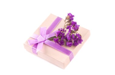 Beyaz izole mor kurdele fiyonklu hediye kutusu