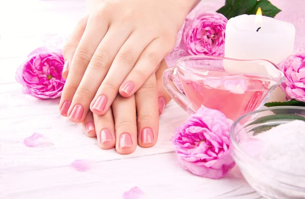 Mujeres manos con hermosa manicura Imagen De Stock