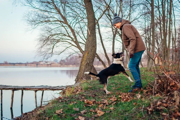 Mann Spielt Mit Hund Herbstpark See Glückliches Haustier Das Spaß — Stockfoto