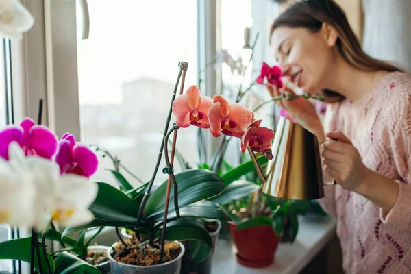 Bevattning Orkidéer Phalaenopsis Med Gyllene Metall Vattning Burk Kvinnan Tar — Stockfoto