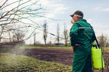 Kıdemli çiftçi, bahar bahçesinde böceklere elle böcek ilacı püskürtüyor. Tarım ve bahçıvanlık kavramı