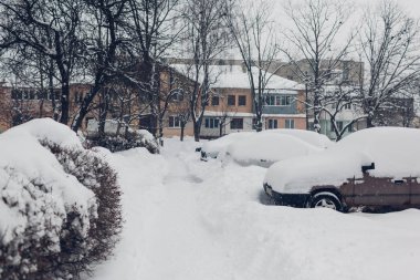 Şehirde kar yağışı sırasında karla kaplı park edilmiş arabalar. Kış tipiden sonra otomobiller yığınlara sıkıştı. Fırtınalı hava durumu