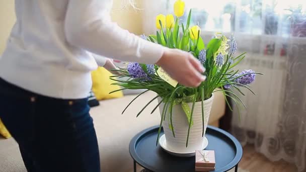 Vrouw Ruikt Bloeiende Voorjaar Gele Bloemen Met Wenskaart Thuis Internationale — Stockvideo