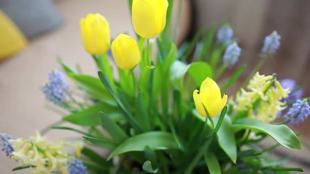 国際女性デー 3月8日現在 春の黄色と青の花とグリーティングカードを自宅に置くとポット 2021色で休日のための贈り物 — ストック動画