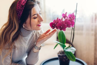 Evde çiçekli burgundy orkidesi kokan bir kadın. Ev hanımı ev bitkileriyle ve çiçeklerle ilgileniyor. Oturma odasının içi.