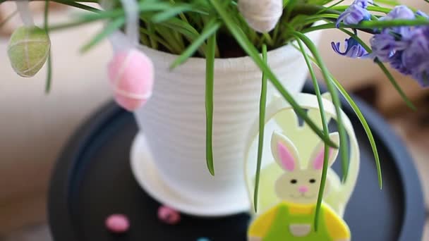 Easter Decoration Pot Spring Flowers Eggs Bunny Home Pet Relaxing — Stock Video