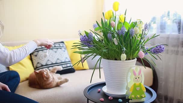 イースターの装飾 自宅でポットに咲く春の花で卵を持つ女性と猫の遊び 休日のリビングルームインテリア — ストック動画