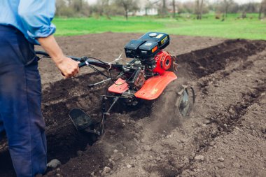Çiftçi toprak ekimi ve patates ekimi için küçük traktör kullanıyor. Bahar hazırlığı. Tarım. Açık hava işi.
