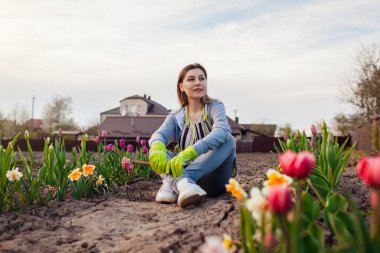 Genç bahçıvan taze lalelerin, nergislerin, bahar bahçesinde sümbüllerin arasında dinleniyor. Mutlu kadın yerde oturan renkli çiçeklerden hoşlanır.