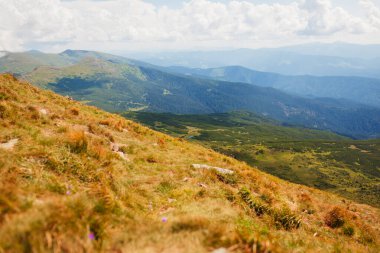 Hoverla 'dan Karpatlar' daki panoramik yaz dağ manzarası. Göllü doğal alan çayırı arka planı