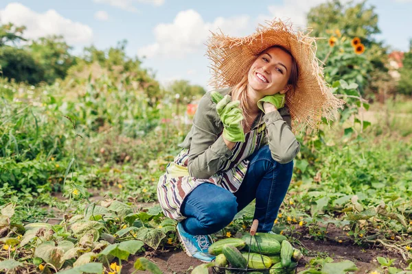 Happy Woman Farmer Harvesting Cucumbers Garden Young Gardener Picking Vegetables — Stock Photo, Image