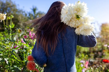 Bahçıvan kadın, sonbahar bahçesinde çiçek topluyor. Sonbahar tarlasında çiçek açan çiftçilerin arka görüntüsü. Fleurel