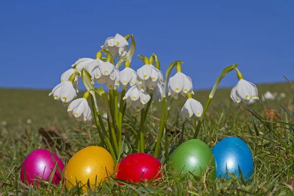 Coloridos huevos de Pascua y flores de primavera — Foto de Stock