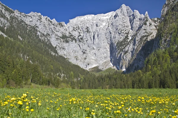 Hoge Goell in Berchtesgaden Alpen — Stockfoto