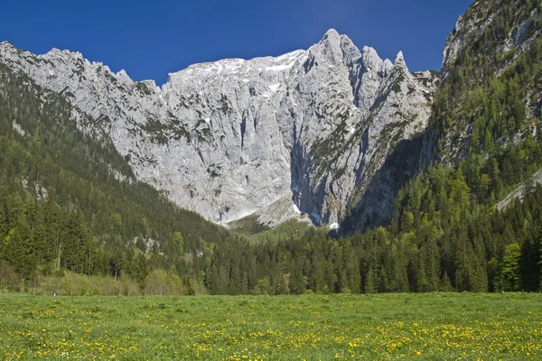 Haut Goell à Berchtesgaden Alpes — Photo