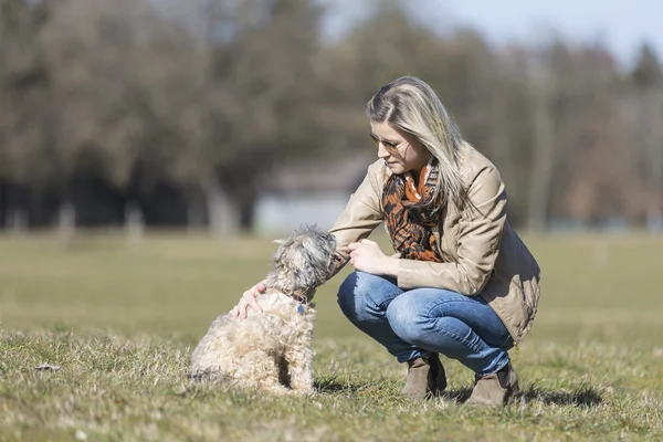 Pats har för hunden — Stockfoto