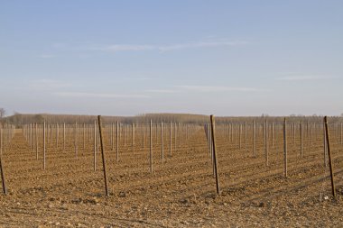 Bahar tarım arazisi