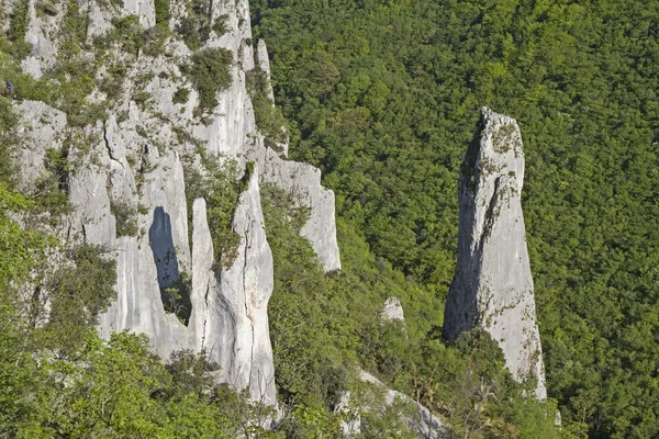 Vranjska Draga; в регіоні Istria — стокове фото