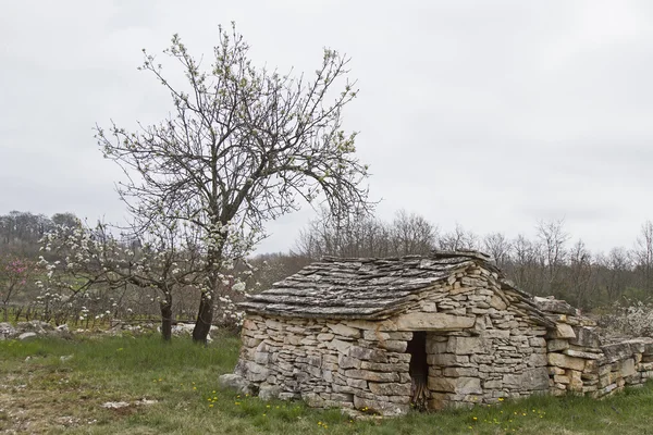イストリアの石造り小屋 — ストック写真