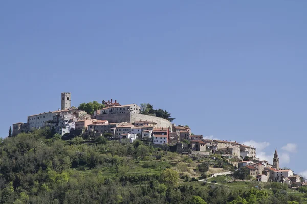 Motovun em istria — Fotografia de Stock