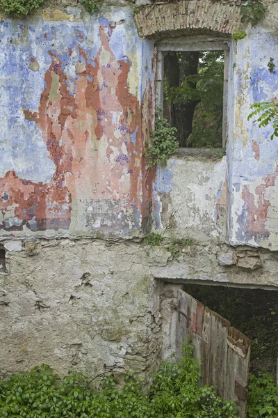 House ruin in Croatia — Stock Photo, Image